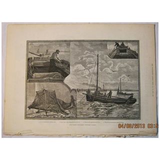 Our Fishing Industries -Whitebaiting - - Illustrated London News 1883
