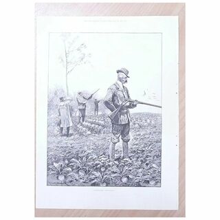 Full Page Illustrated London News 1895 
