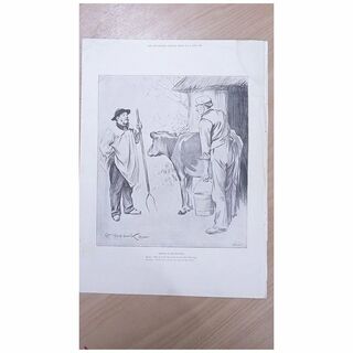 Full Page Illustrated London News 1895 