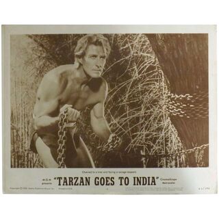TARZAN Goes To India - 2 x Lobby Cards & 6 x Photo Stills