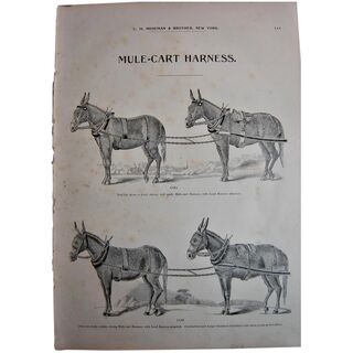 MOSEMAN'S Illustrated Guide - Original Printed 2 Side Page - Circa 1892