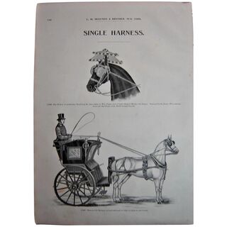 MOSEMAN'S Illustrated Guide - Original Printed 2 Side Page - Circa 1892