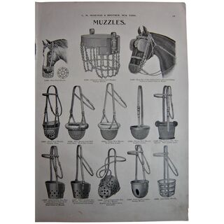 MOSEMAN'S Illustrated Guide - Original Printed 2 Side Page - Circa 1892
