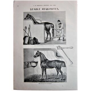 MOSEMAN'S Illustrated Guide - Original Printed 2 Side Page - Circa 1892