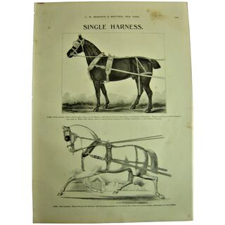 MOSEMAN'S Illustrated Guide - Original Printed 2 Side Page - Circa 1892