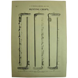 MOSEMAN'S Illustrated Guide - Original Printed 2 Side Page - Circa 1892