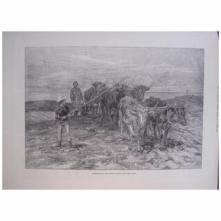 'Ploughing On The Sussex Downs' - Illustrated London News Nov. 5th 1881