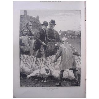 'The Goose Club Committee' - Illustrated London News Dec.17 1881