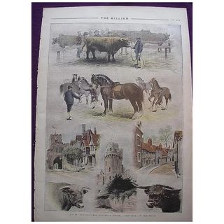 1892 Full Page THE MILLION Newspaper ' Royal Agricultural Society's Show; Sketches At Warwick'