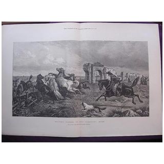 'Driving Horses In The Campagna, ROME' - Illustrated London News Oct. 29 1881