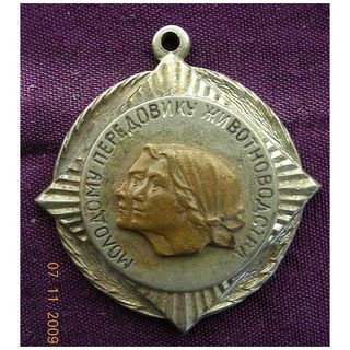 Russian Vietnam Badge / Medal