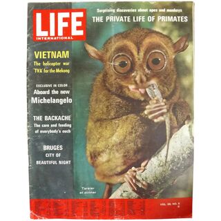 LIFE Magazine May 3rd 1965 