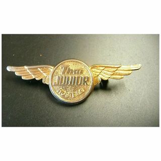 THAI Airlines Junior Hostess Wings