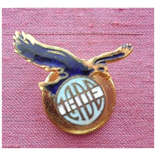 Vintage Outdated Argentinian Airline LADE Badge