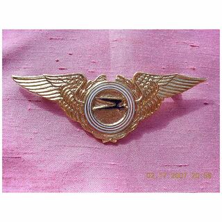Vintage Argintinas Aerolinas Pilot Wings Badge