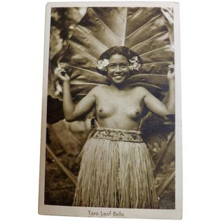 Taro Leaf Belle - Photograhic card