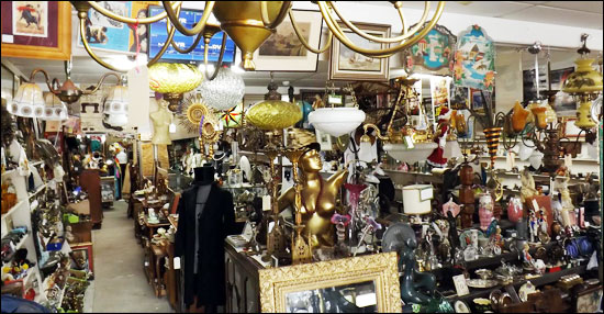 Inside Molloy's Antique Shop