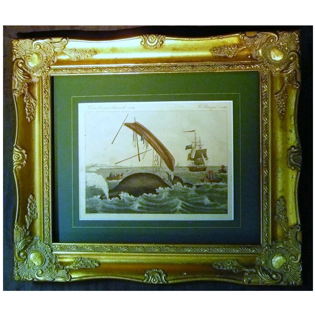 A French Antique Engraving of Whale Hunting Circa 1800