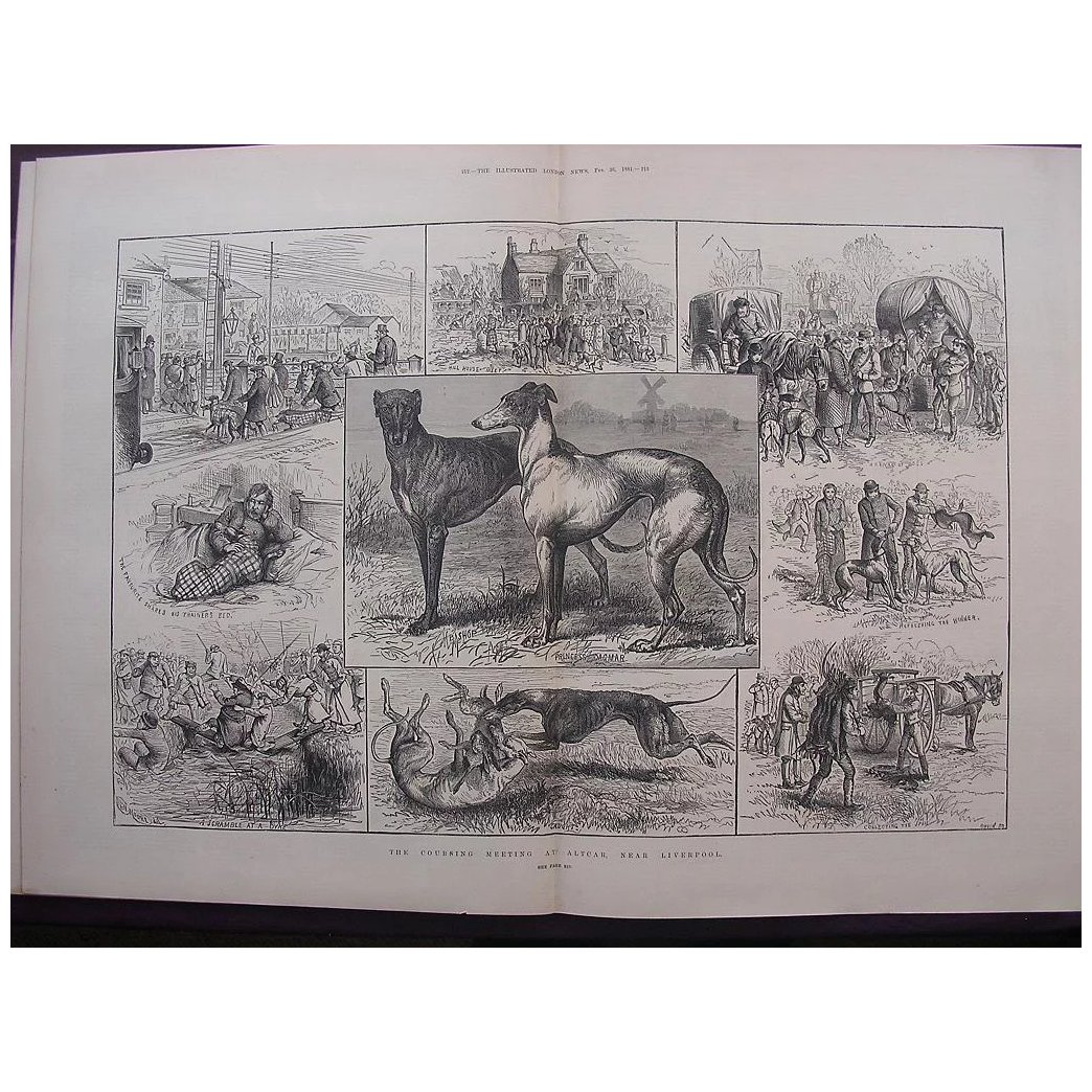 ' The Coursing Meeting At Altcar, Near Liverpool' - The Illustrated London News Feb. 26 1881