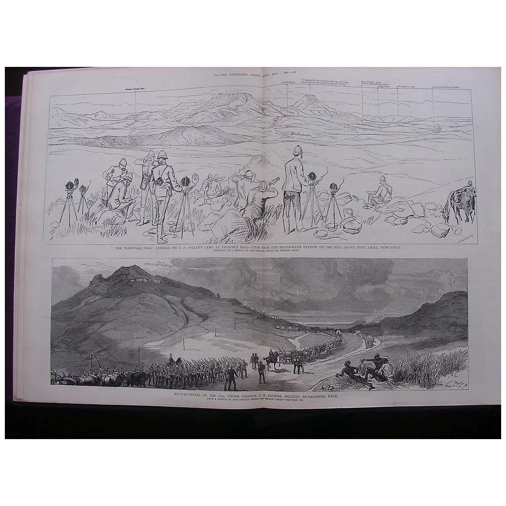 'The Transvaal War' From The Illustrated London News April 1881