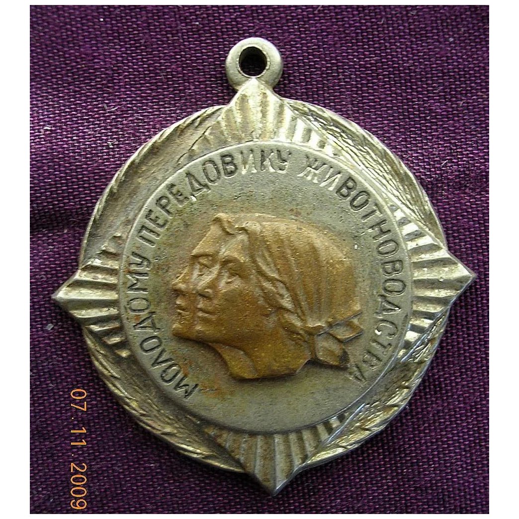 Russian Vietnam Badge / Medal