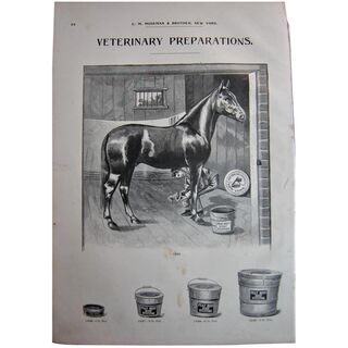 MOSEMAN'S Illustrated Guide - Original Printed 2 Side Page - Circa 1892