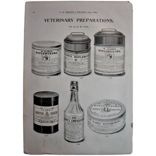 MOSEMAN'S Illustrated Guide - Original Printed 2 Side Page - Circa 1892