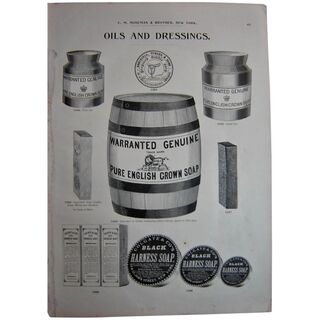 MOSEMAN'S Illustrated Guide - Original Printed 2 Side Page - Circa 1892