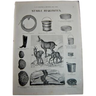 MOSEMAN'S Illustrated Guide - Original Printed 2 Side Page - Circa 1892