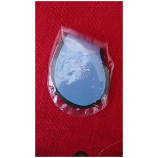 Pan Am Eye Shade
