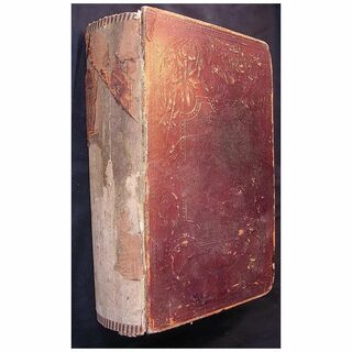 The Polar & Tropical Worlds - Dr. G. Hartwig -1876 First Edition