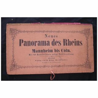 Fantastic Victorian Era 'Panorama des Rheins' Ornate Fold-out of The Rhine River
