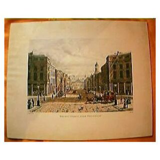 Vintage Engraving 