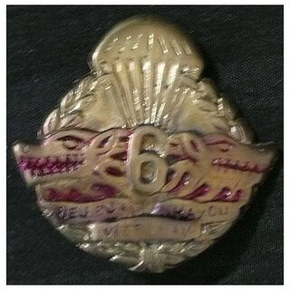 French Indochine War -TD 6 ND Airborne, Vietnam -Badge