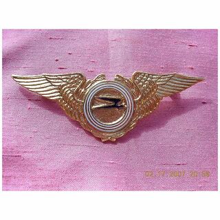 Vintage Argintinas Aerolinas Pilot Wings Badge